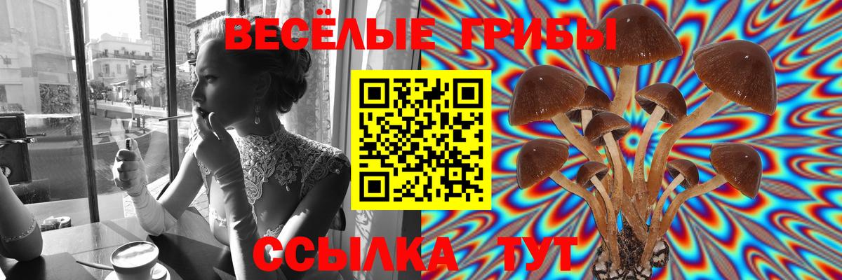 Псилоцибиновые грибы мицелий Вышний Волочёк