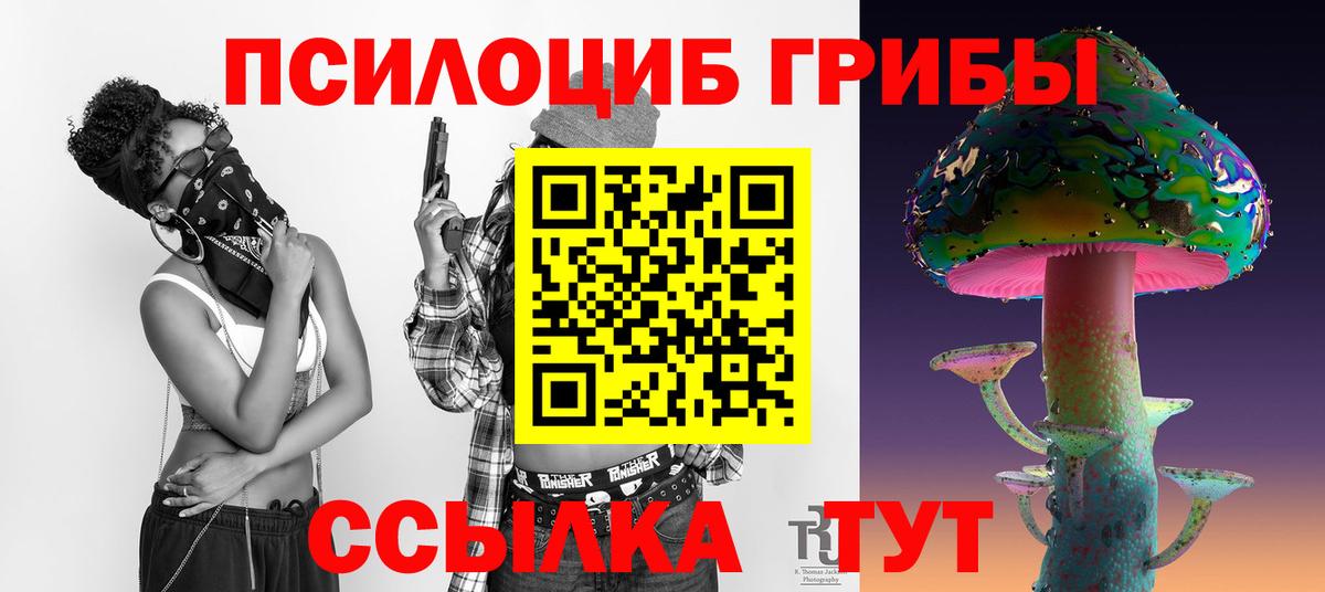 Вышний Волочёк  Псилоцибиновые грибы Psilocybe  Галлюциногенные грибы прущие грибы  Вход с VPN 